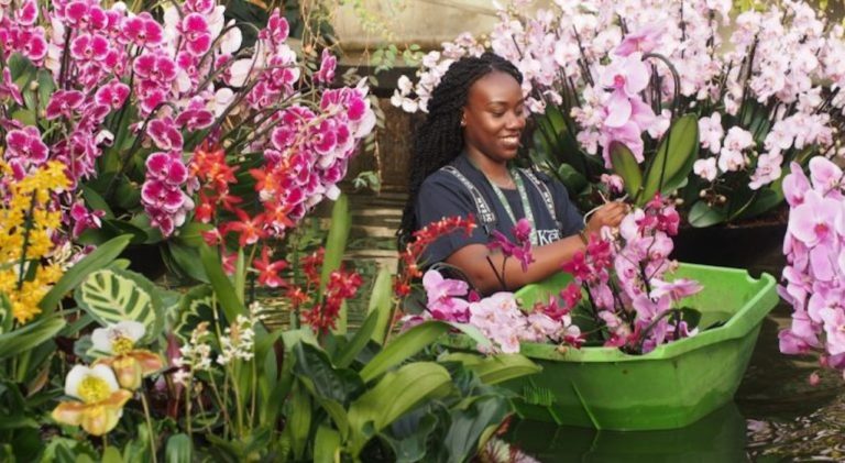 kew gardens