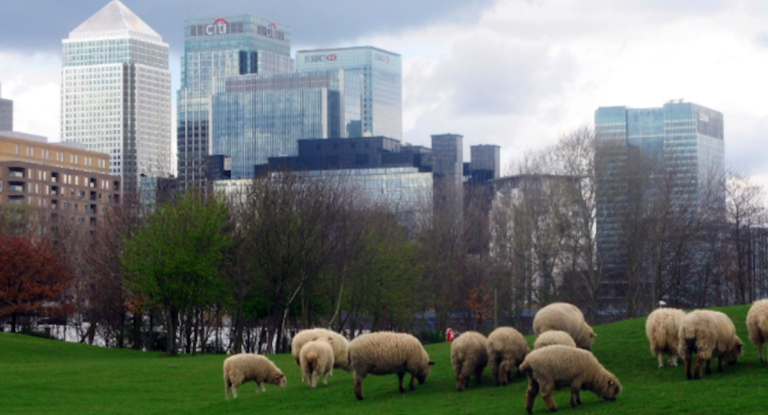 city farms ferme urbaine londres