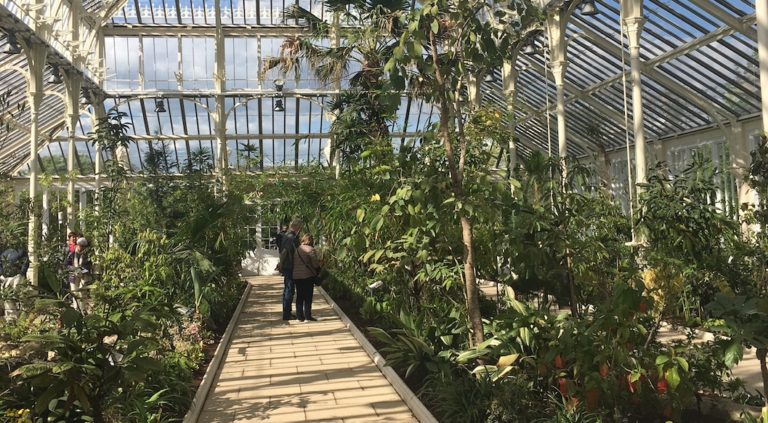 kew gardens serre
