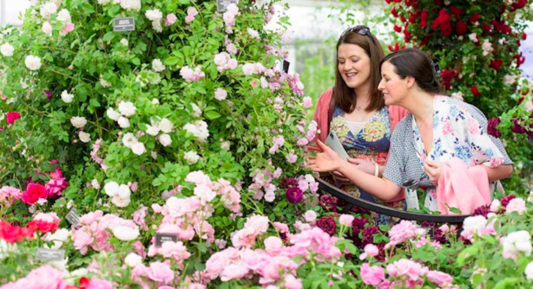 où sortir RHS Chelsea Flower Show