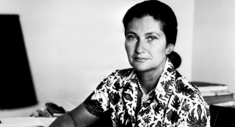 simone veil institut français