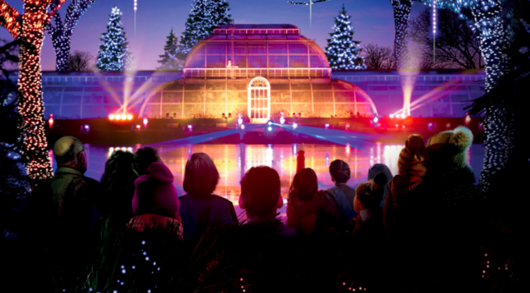 kew gardens noel lumieres ou sortir londres