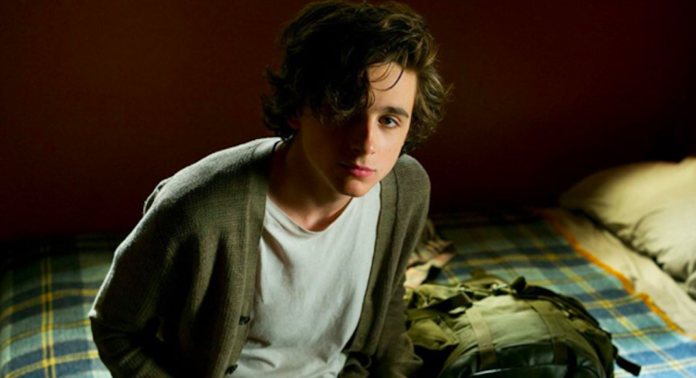 timothee chalamet ciné lumiere institut français beautiful boy