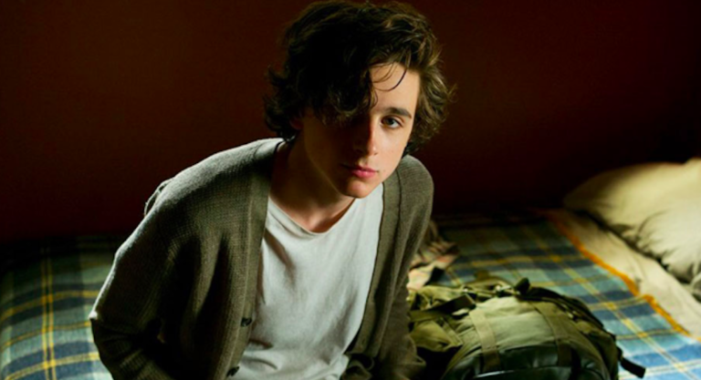 timothee chalamet ciné lumiere institut français beautiful boy