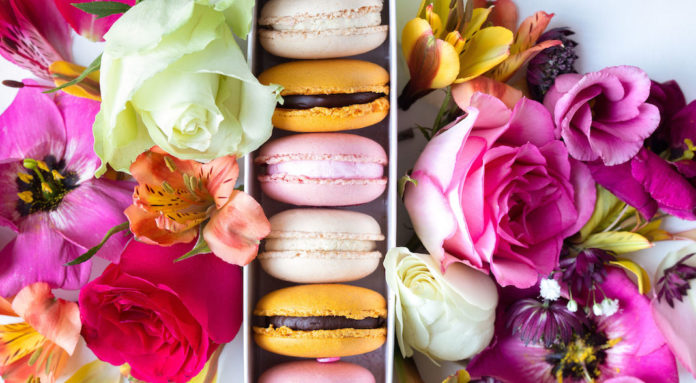 so choux concours journee internationale macaron