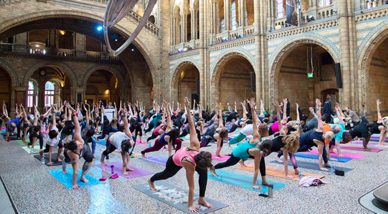 seance yoga natural history museum