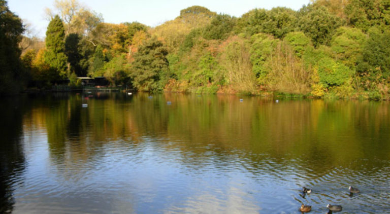 Les bassins du parc de Hampstead Heath
