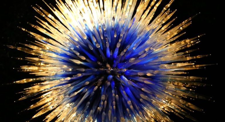 Les Chihuly Nights, une exposition lumineuse autour du verre à Kew Gardens