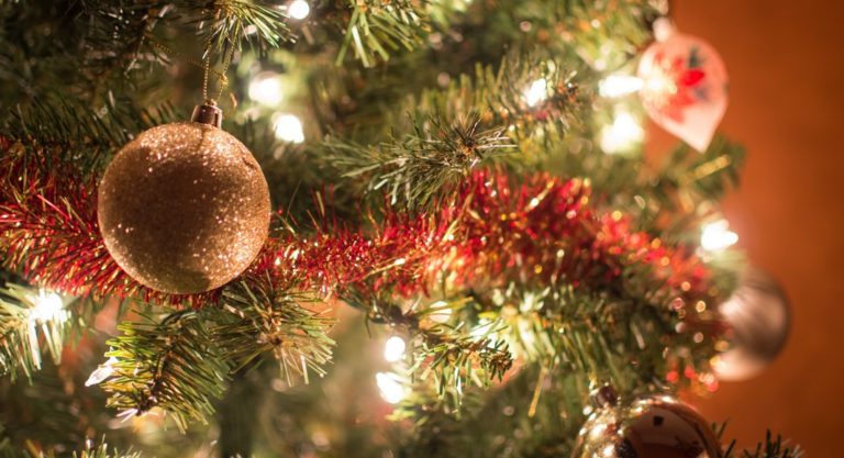 Où acheter son sapin de Noël à Londres