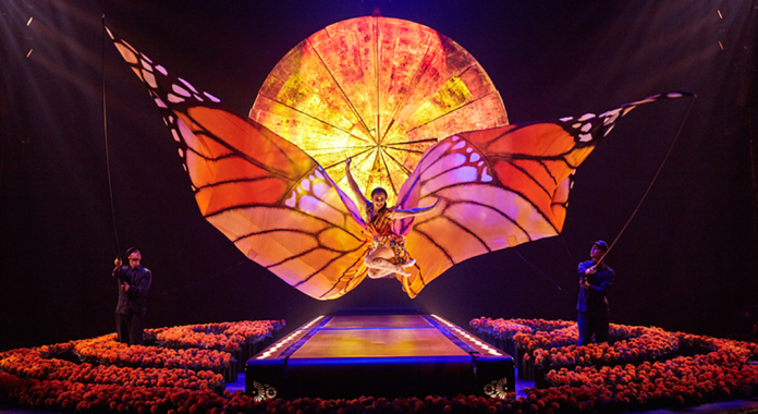 cirque du soleil spectacle luzia londres