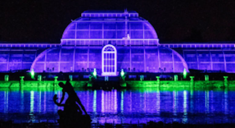 kew gardens magie noel comme si vous y etiez