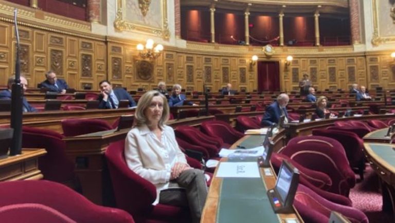 helene conway mouret senat aide francais etranger