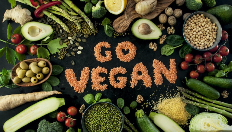devenir vegan mode d emploi