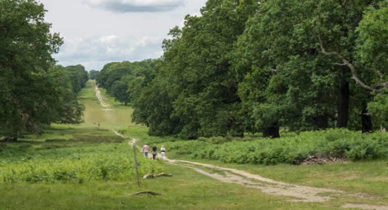 Randonnée familiale aux parcs de Wimbledon et Richmond