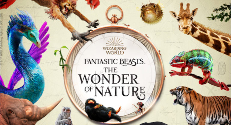 animaux fantastiques musée histoire naturelle