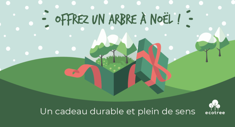 Offrir un arbre pour Noël : le cadeau parfait en 2020