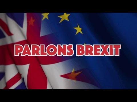 (Replay) Yves Bigot, directeur général de TV5 Monde, était l'invité de Parlons Brexit