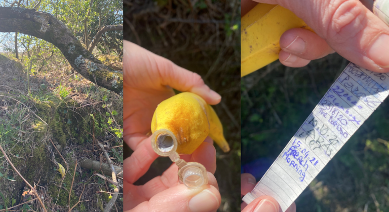 Geocaching
