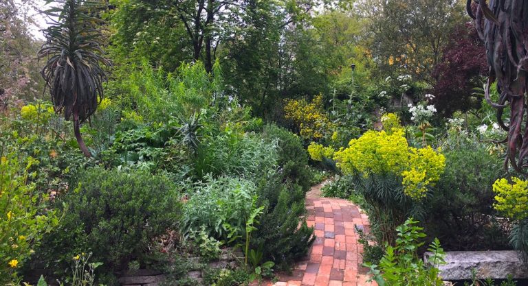 jardin urbain secret