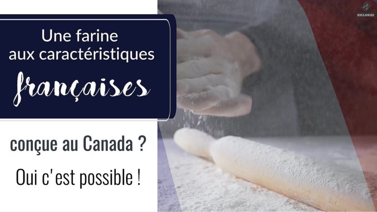 Des farines aux caractéristiques françaises, conçues dans le souci du respect de l’environnement