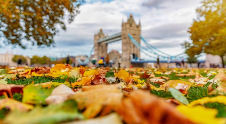 Les plus belles balades pour profiter de l’automne à Londres