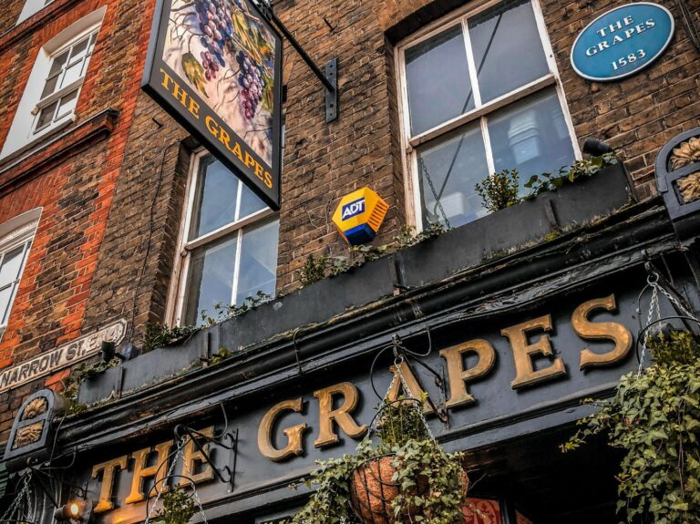 The Grapes