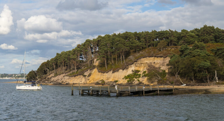 L’île de Brownsea, trésor de biodiversité protégé par le National Trust et l’association française Smilo