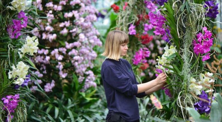 orchid festival londres