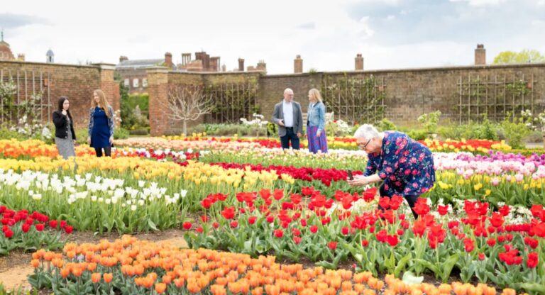 Le Tulip Festival d’Hampton Court Palace offre un spectacle floral pour célébrer le printemps