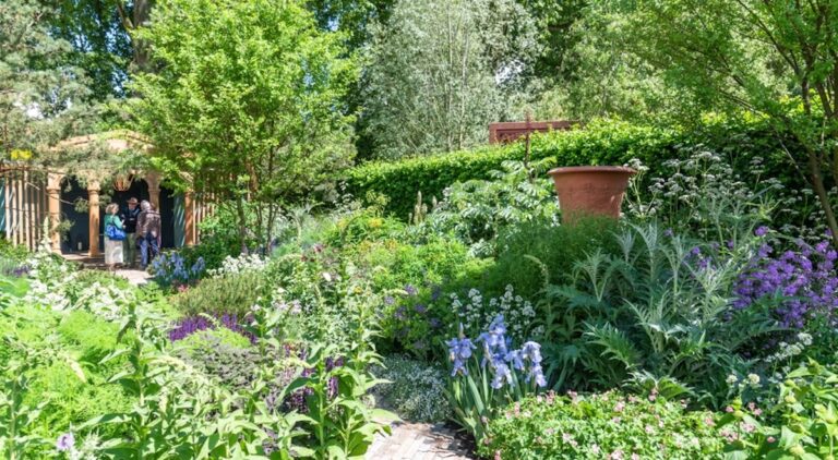 chelsea-flower-show-2024